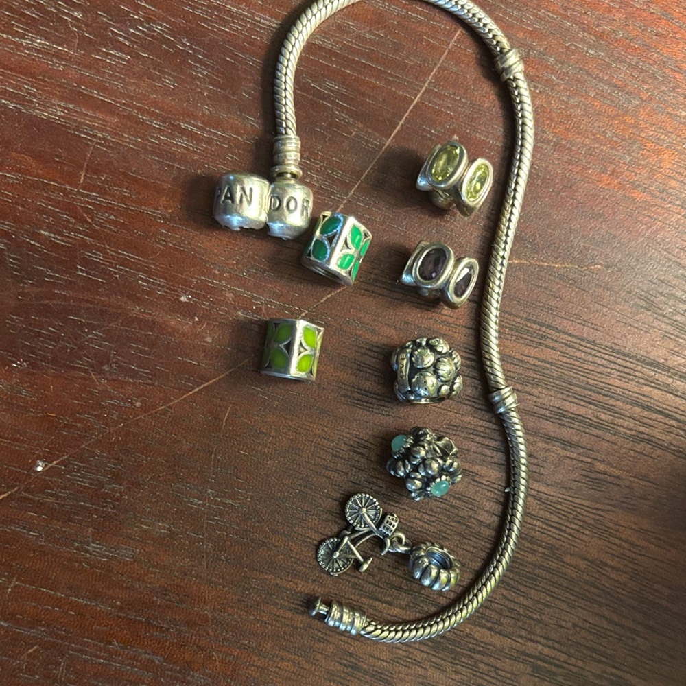 Pandora Silver Bracelet with multiple charms There are 8 charms included in this